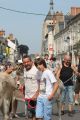 IMG_0812.jpg